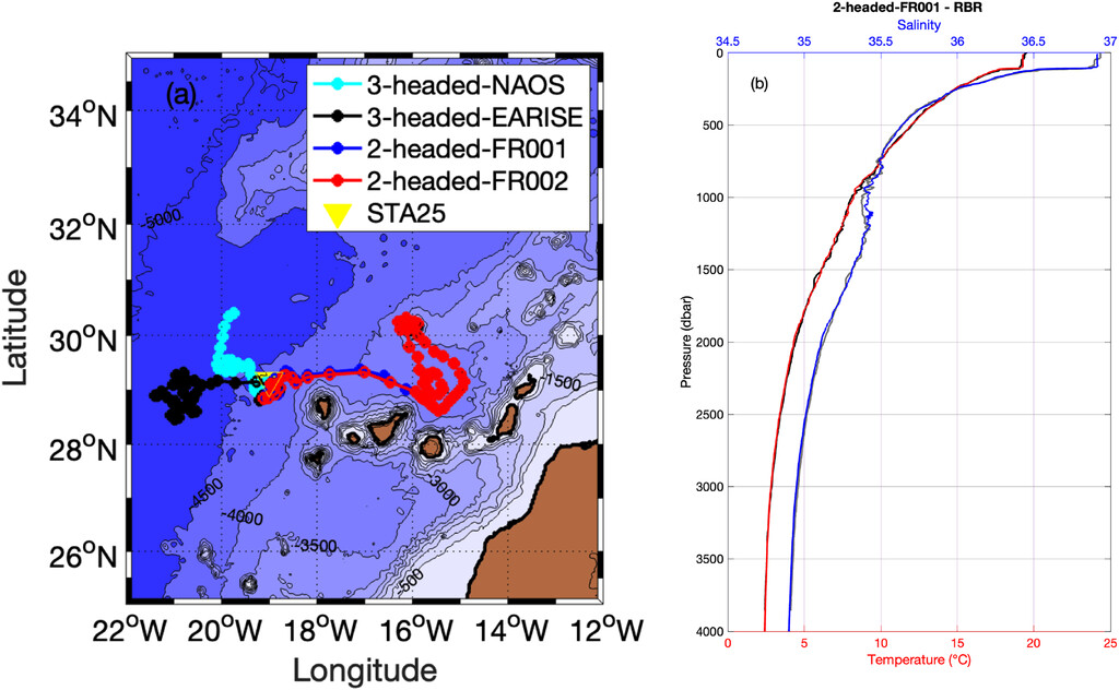 Trajectories of Deep-Argo floats near the Canary Islands and temperature and salinity profiles